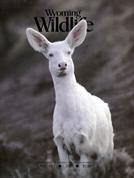 Wyoming Wildlife